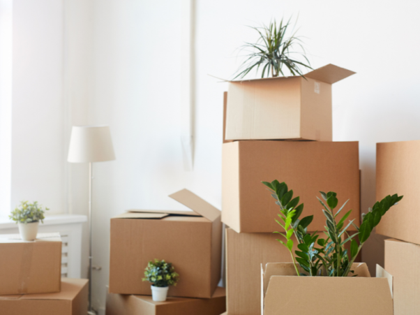 LefoBox: Hành trình hơn 10 năm trở thành thương hiệu thùng carton uy tín