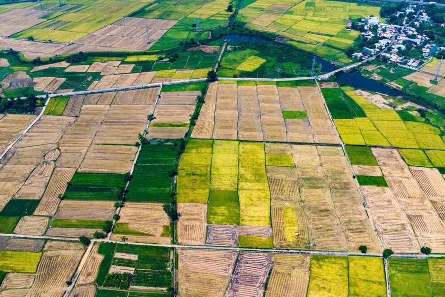 Kinh tế tập thể thúc đẩy phát triển nông thôn mới