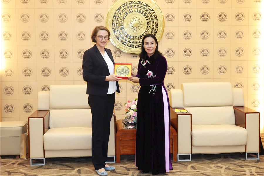 Da Nang seeks stronger cooperation and investment from Germany