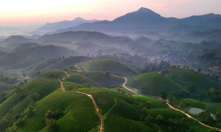 Săn mây trên đồi chè Long Cốc