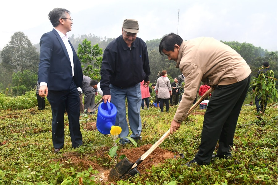 Gieo mùa no ấm chiến khu xưa