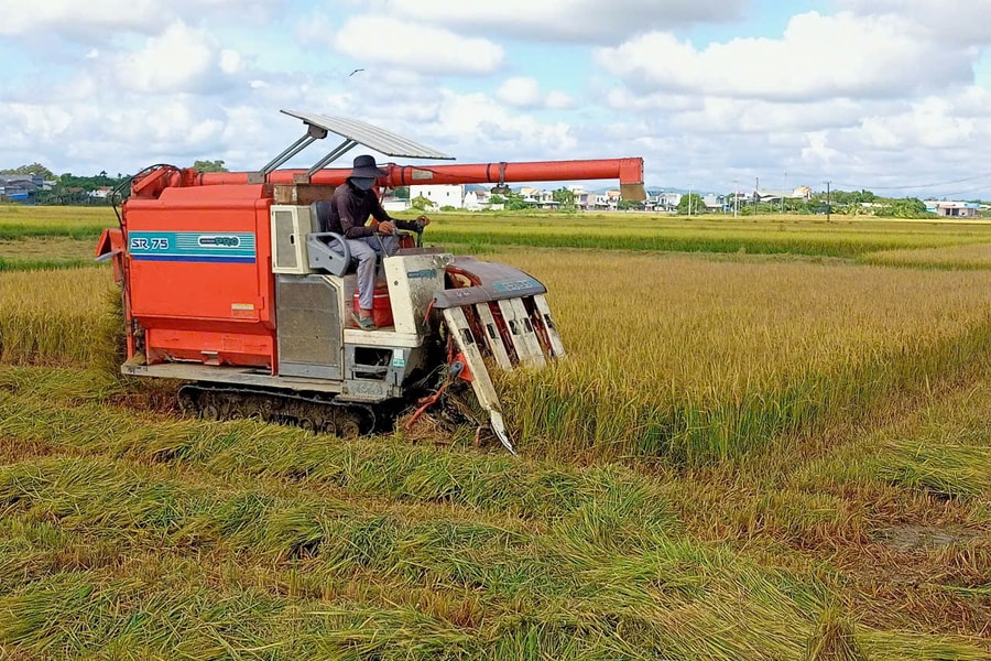 Tam Xuân phát triển nông nghiệp ứng dụng công nghệ cao gắn với du lịch