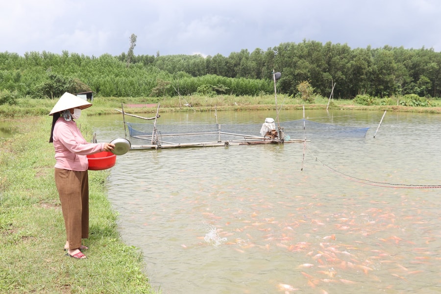 Phát triển bền vững nuôi trồng thủy sản nước ngọt