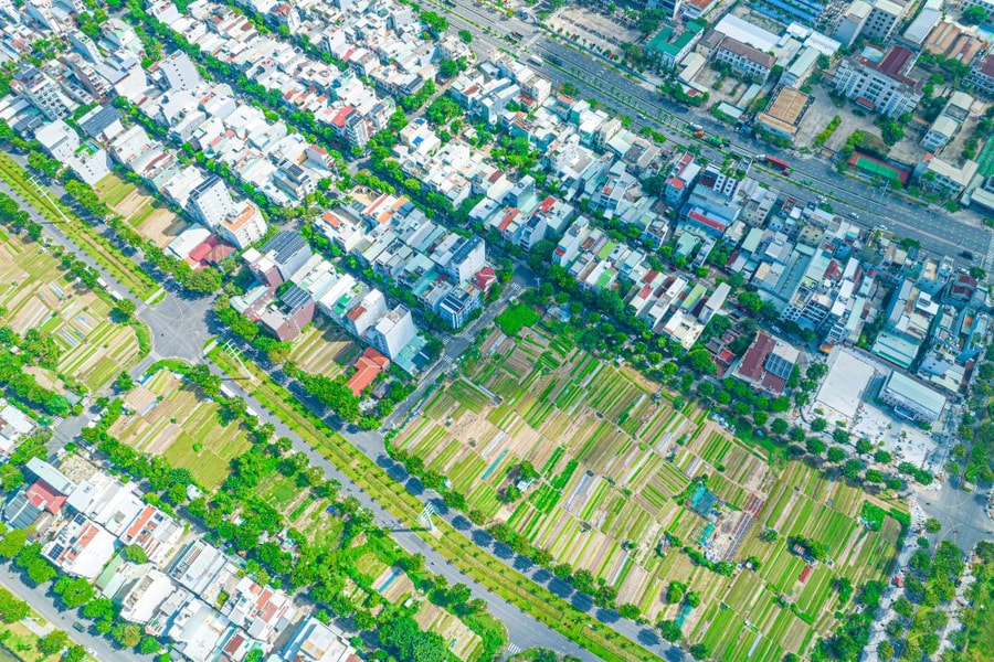 Những mảng xanh trong phố