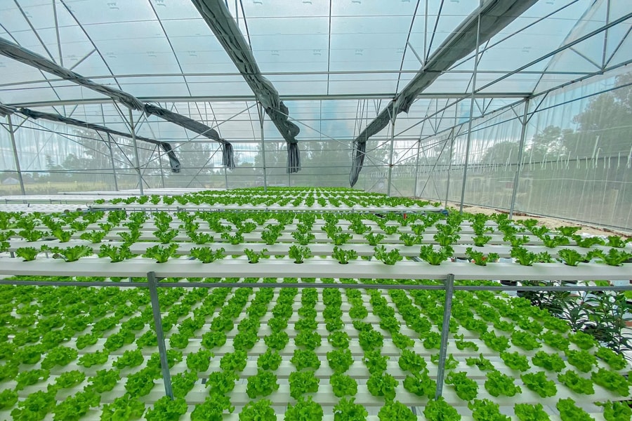 Khuyến khích phát triển nông nghiệp công nghệ cao