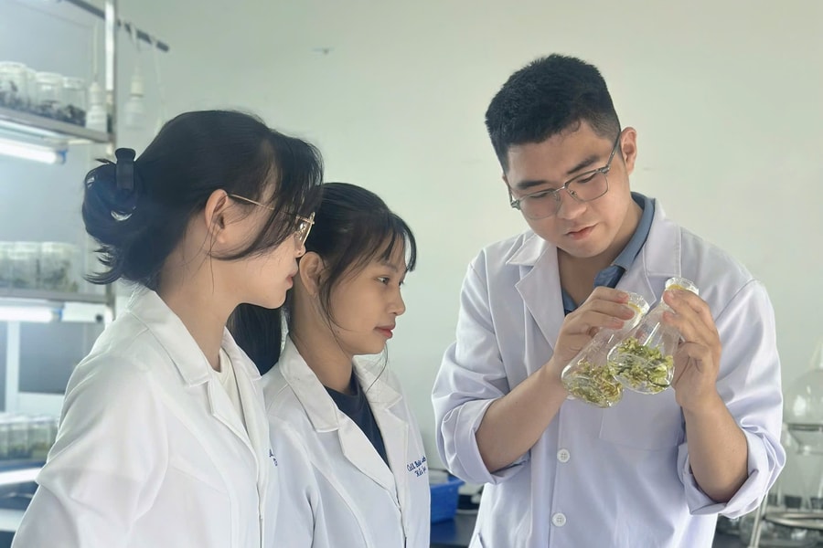 Sinh viên Đại học Duy Tân ghi dấu ấn tại hội nghị quốc tế