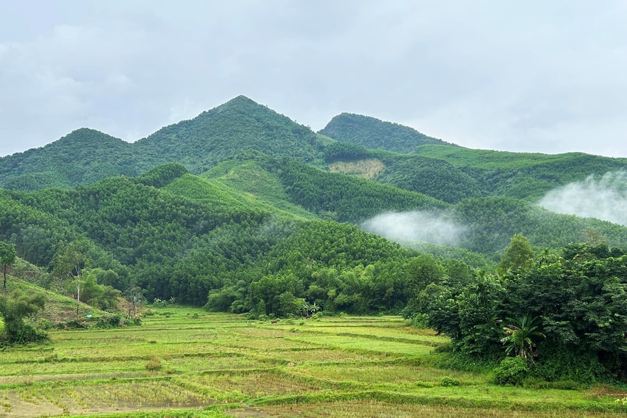 Nơi chốn văn chương