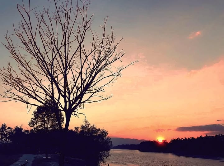 Thương nhánh sông quê mình