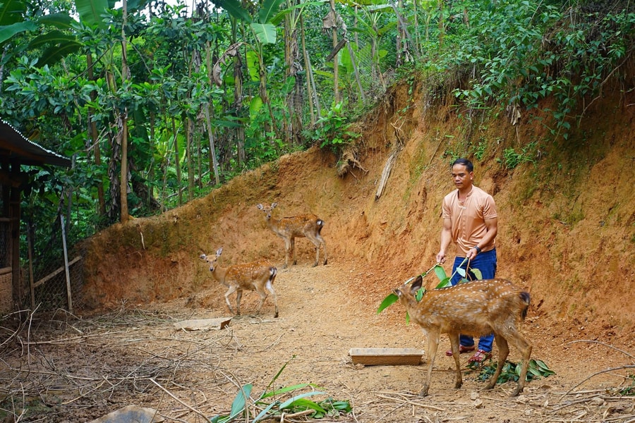 Góp sức vì quê hương