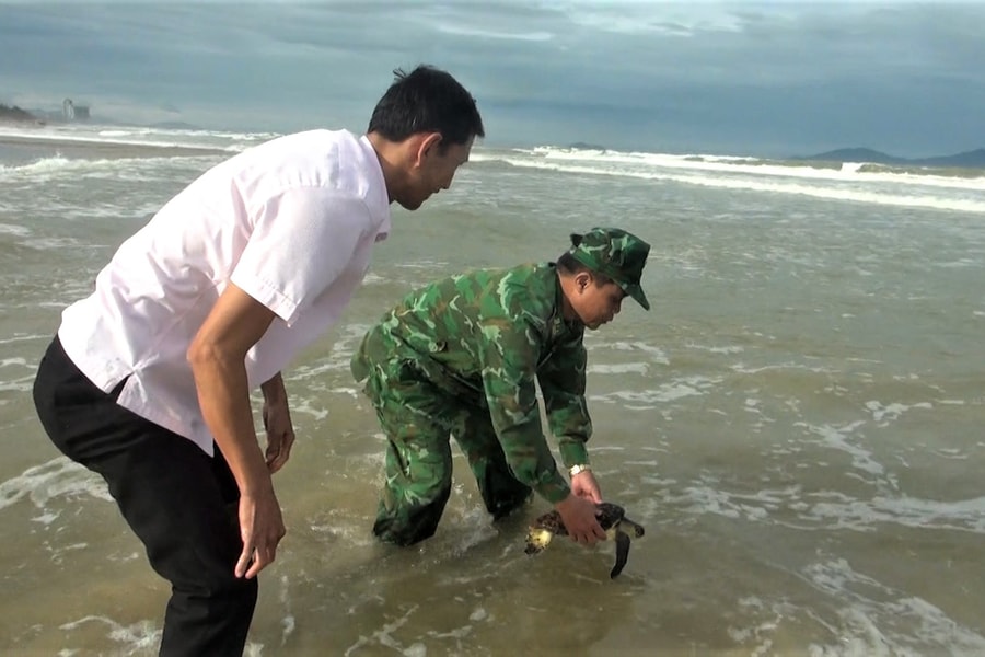 Xã Thăng An phối hợp thả 2 động vật quý hiếm về môi trường tự nhiên