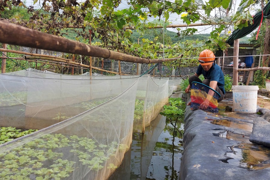 Thúc đẩy sản xuất sạch, nông nghiệp xanh