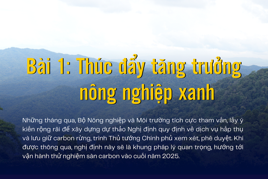 Hành lang pháp lý cho giao dịch tín chỉ carbon rừng - Bài 1: Thúc đẩy tăng trưởng nông nghiệp xanh