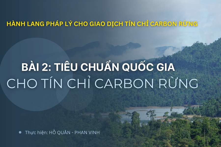 Hành lang pháp lý cho giao dịch tín chỉ carbon rừng - Bài 2: Tiêu chuẩn quốc gia cho tín chỉ carbon rừng