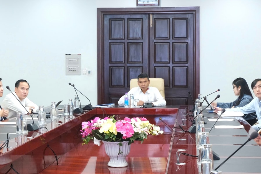Da Nang promotes cooperation with UK-based Revolut Group