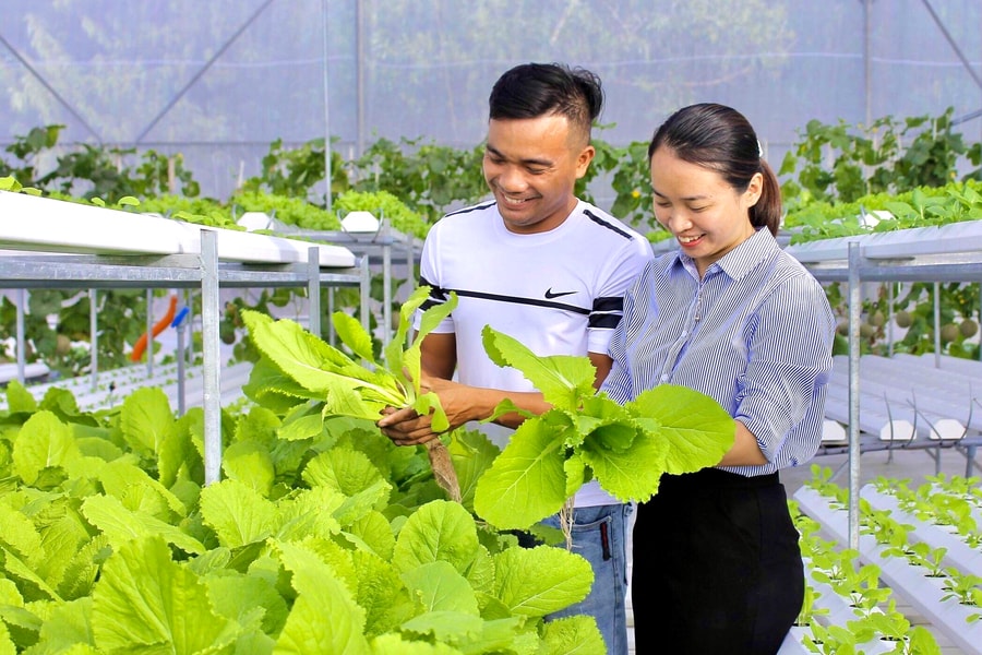 Khôi phục sản xuất nông nghiệp sau bão lũ