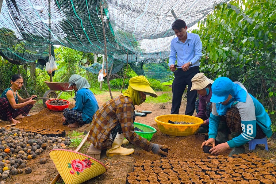 Xây dựng chi, tổ hội nghề nghiệp gắn với phát triển kinh tế bền vững