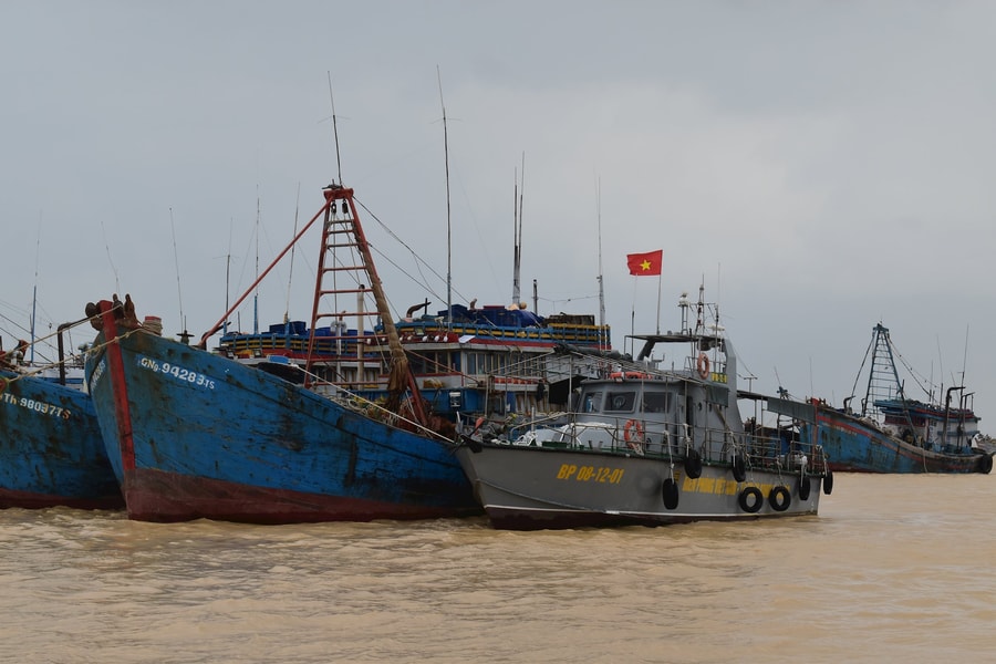 Triển khai các đợt cao điểm chống khai thác IUU