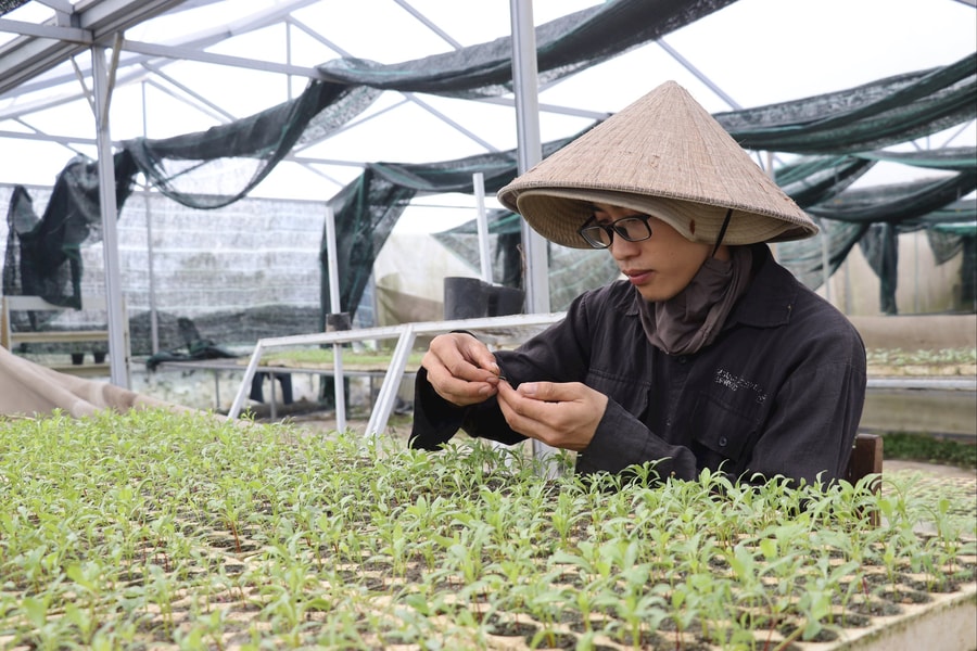 Nông nghiệp xanh từ việc quản lý sức khỏe cho cây trồng