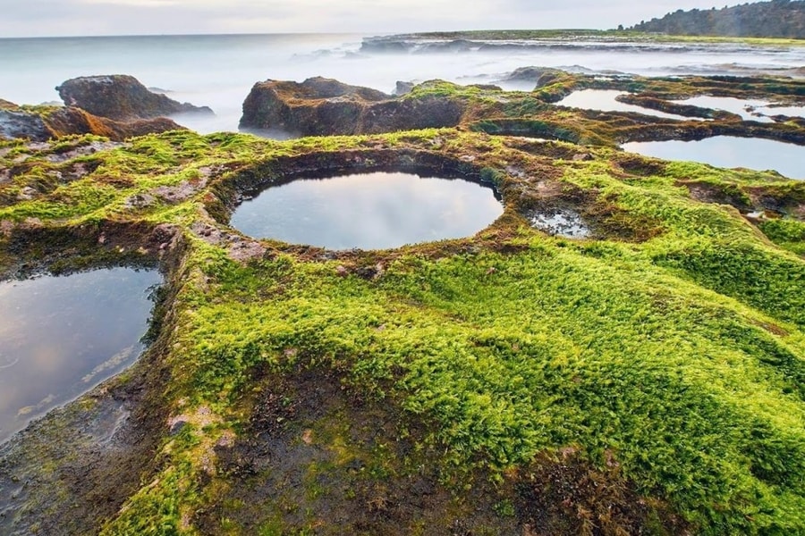 Hòn Đỏ Ninh Thuận: Khám phá rạn san hô hóa thạch trên cạn
