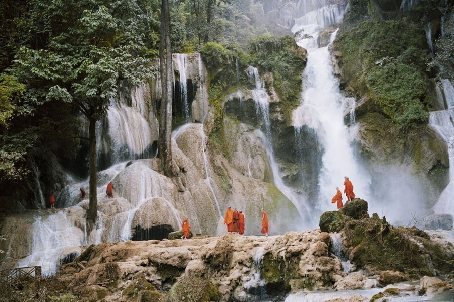 Những vẻ đẹp mong manh