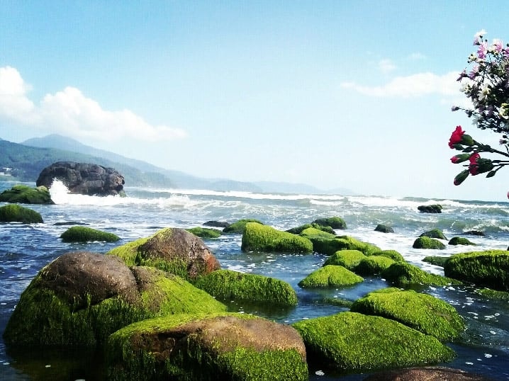 Thơ Nguyễn Bá Hòa