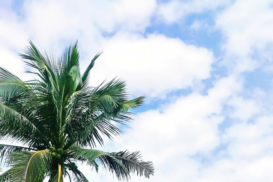 Hồn xưa trong lòng phố mới