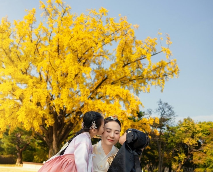 Hàn Quốc mùa thu: Cẩm nang khám phá sắc lá vàng đỏ