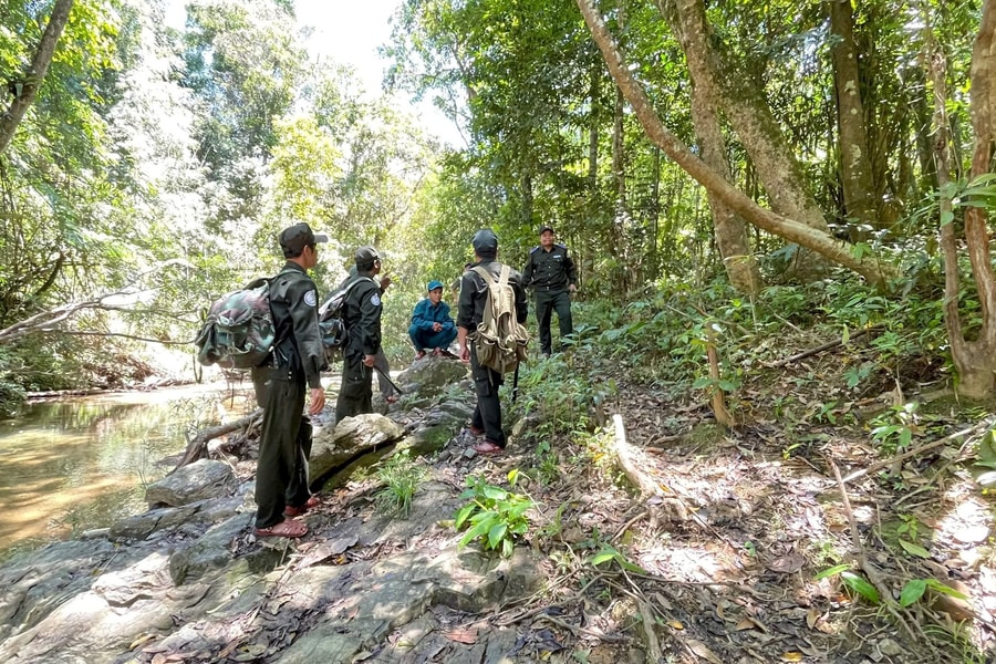 Phát triển lâm nghiệp bền vững