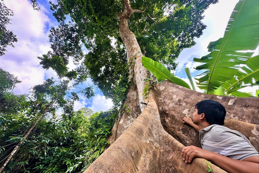 Forest protection in Dong Ram