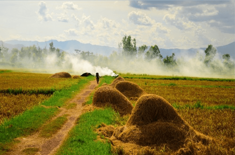 Giữ giọng quê mình