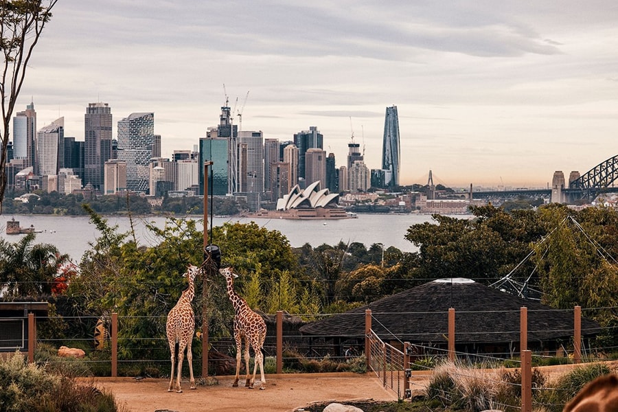 Sydney: Khám phá thành phố cảng từ Opera House đến Blue Mountains