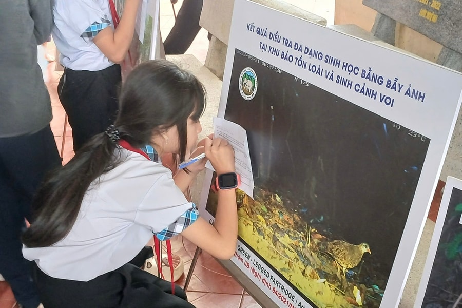 Yêu thiên nhiên từ bài học nhỏ