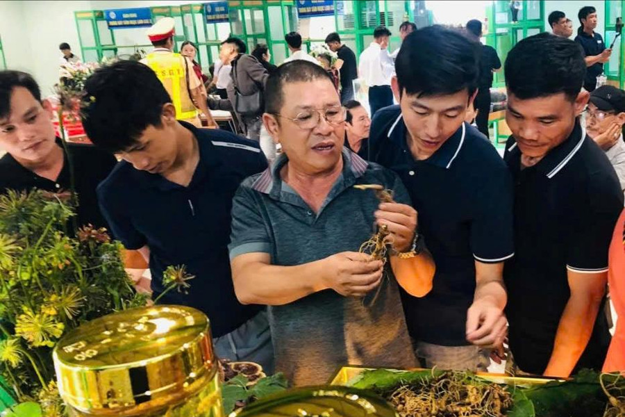 Để sâm Ngọc Linh mở rộng thị trường tiêu thụ