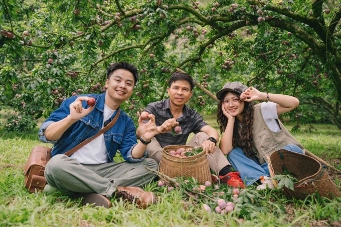 Du lịch Việt Nam: Trải nghiệm 5 mùa quả ngọt khắp cả nước