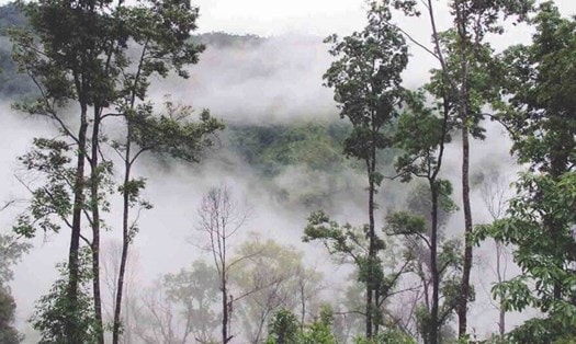 Sớm mai ký ức trở mình