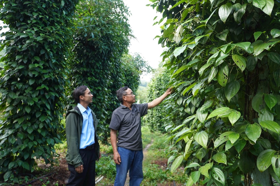 Niềm tin vào chặng đường phát triển mới