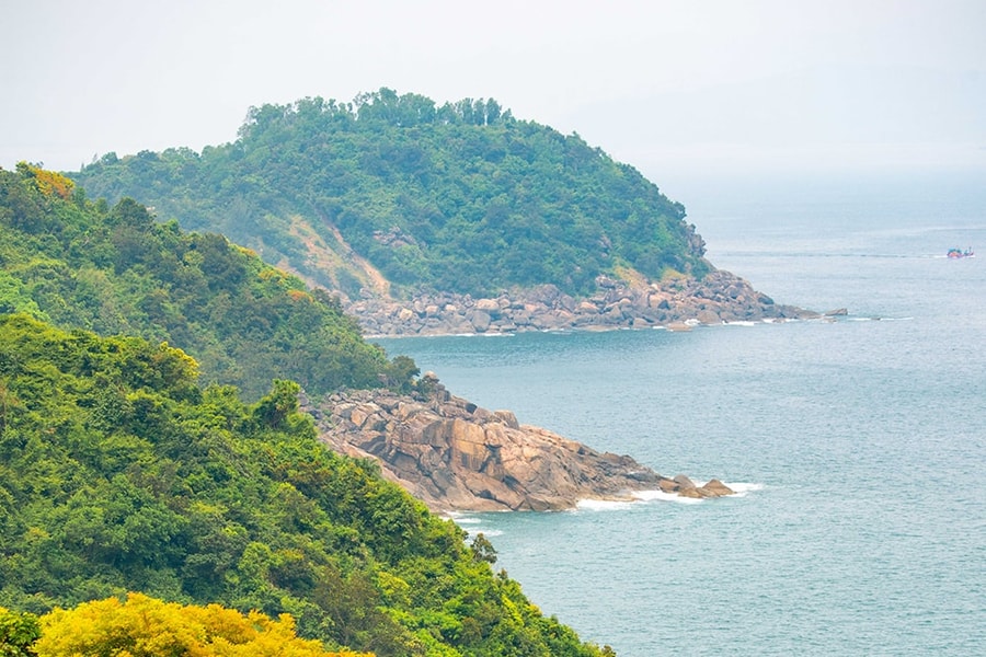 Sơn Trà, mùa lá mới