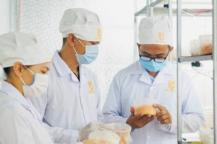 Phát triển sản phẩm OCOP đáp ứng nhu cầu thị trường
