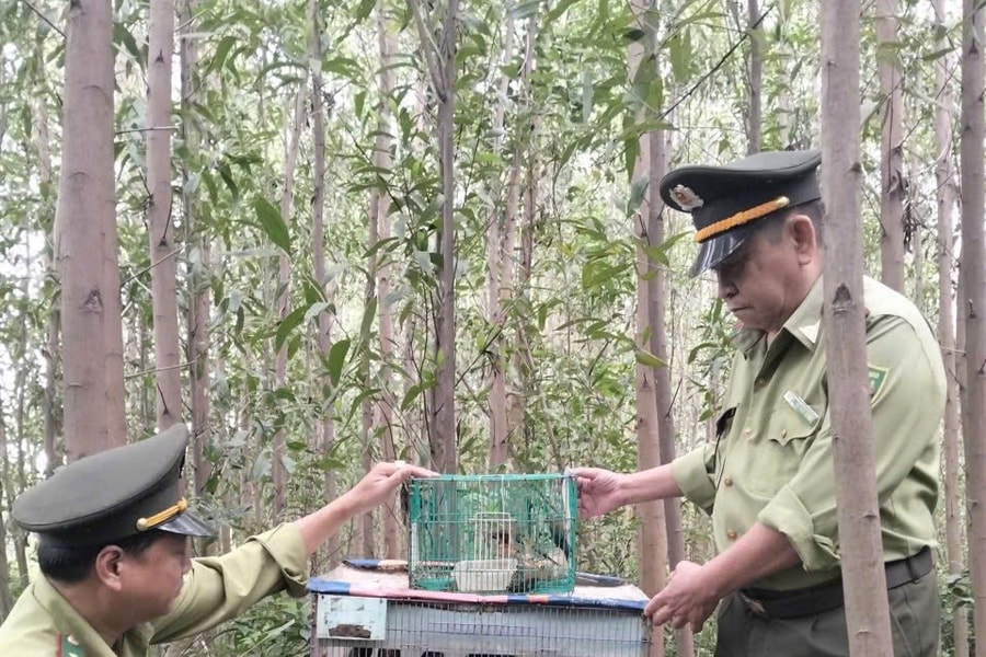 Ngăn chặn săn bắt động vật hoang dã