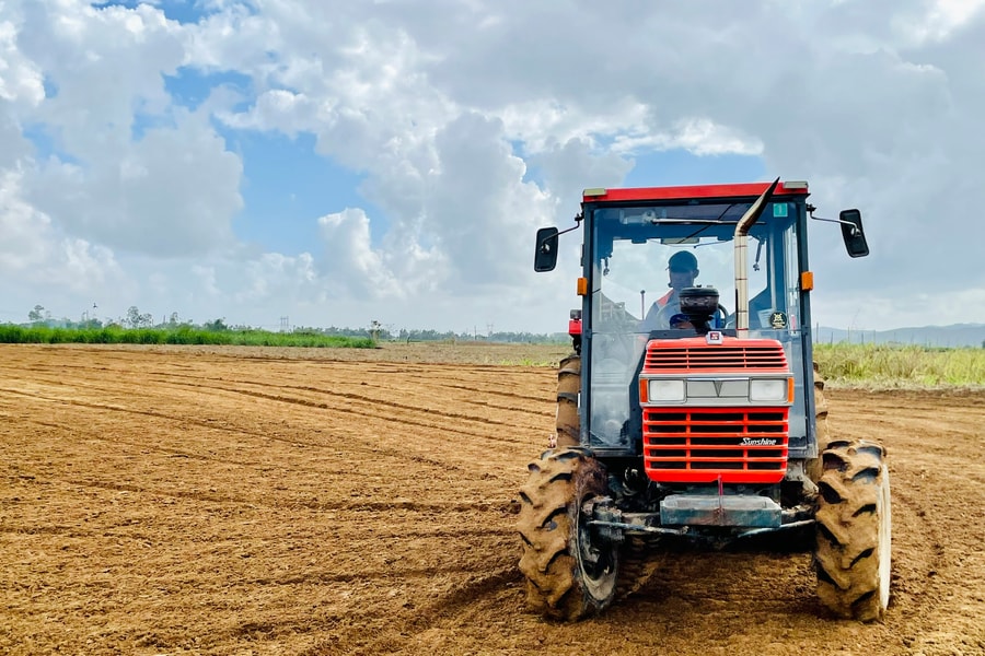 Sớm cải tạo đất bồi lấp sản xuất vụ đông xuân