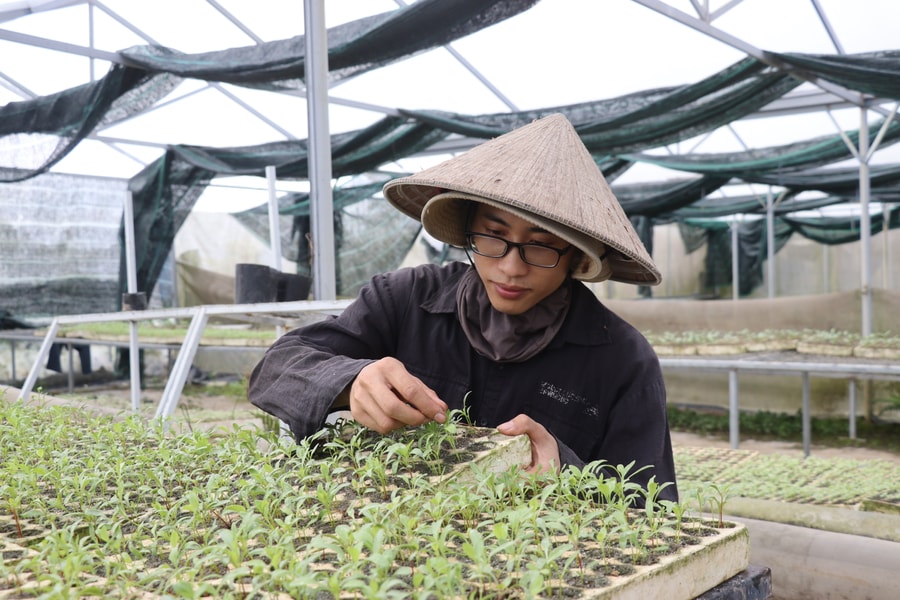 Gieo mầm nông nghiệp sạch