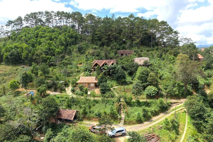 Hồn sơn cước