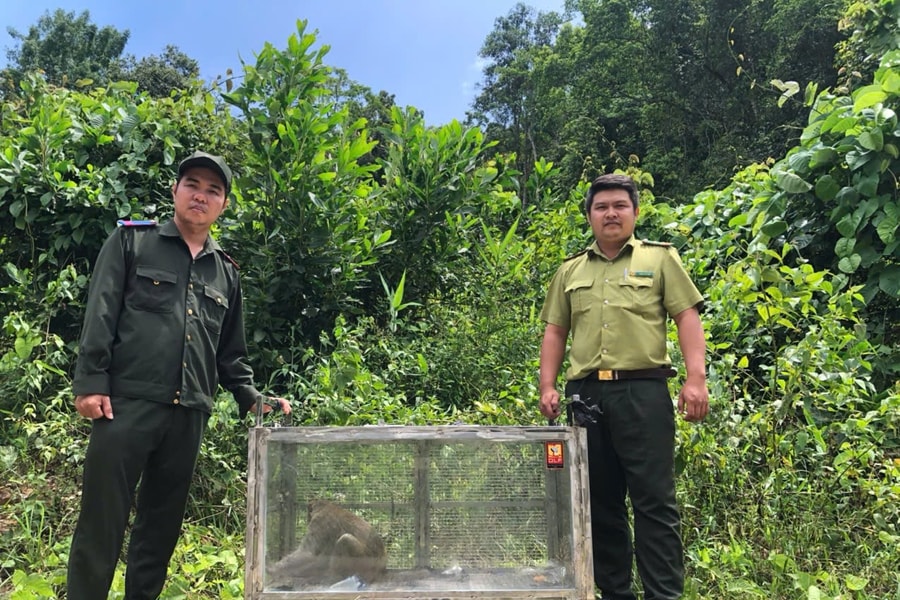 Tăng cường tuyên truyền, bảo vệ động vật hoang dã