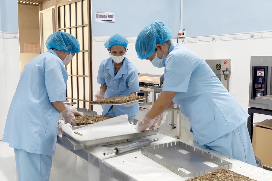 Nhộn nhịp không khí sản xuất đầu năm 2026 ở các hợp tác xã