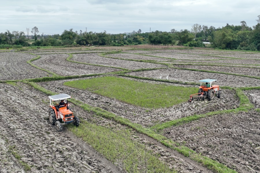 Nông dân tất bật xuống đồng vụ đông xuân