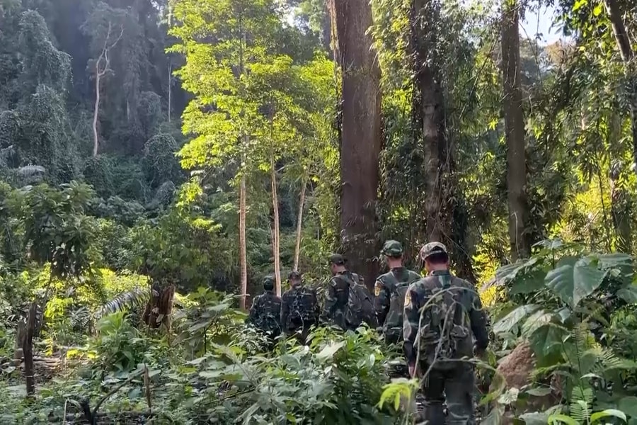 Vườn quốc gia Sông Thanh tổ chức 370 đợt tuần tra, kiểm tra rừng