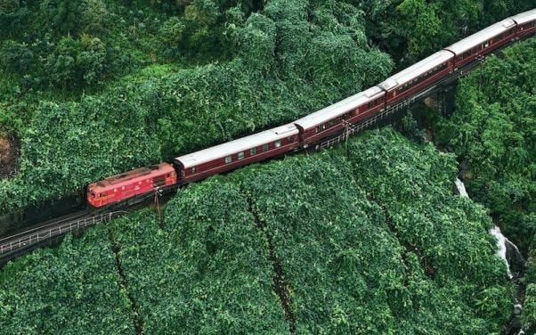 Xu hướng du lịch của giới trẻ năm 2026