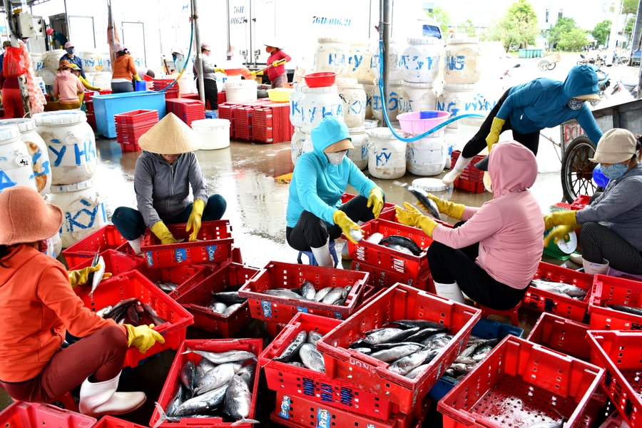 Kiến tạo nghề cá có trách nhiệm