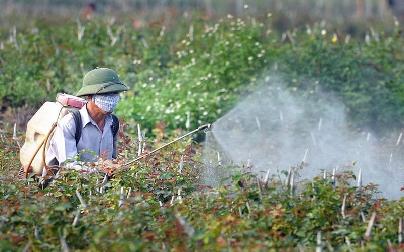 Tăng tỷ lệ thuốc sinh học trong danh mục thuốc bảo vệ thực vật mới