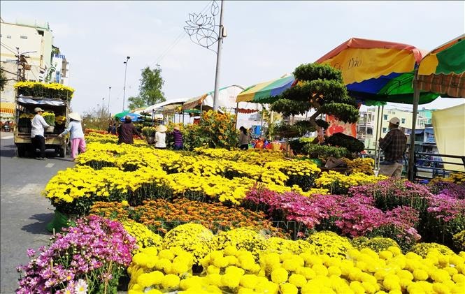 Phường Sơn Trà thực hiện đăng ký điểm bán hoa, cây cảnh Tết Bính Ngọ 2026